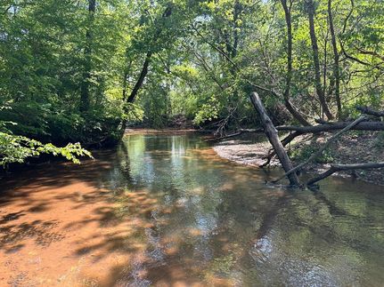 Land for sale in Talbot County, Georgia