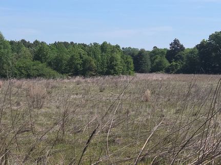 Land for sale in Lee County, North Carolina