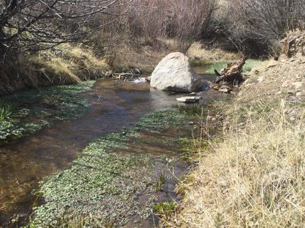 Land for sale in Chaffee County, Colorado
