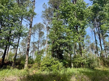 Farm and Ranch for sale in Lawrence County, Mississippi
