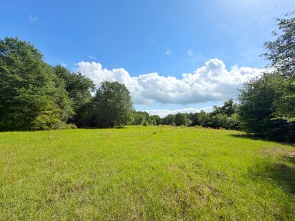 Recreational Property for sale in Leon County, Texas