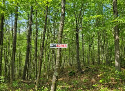 Farm and Ranch in Summers County, West Virginia