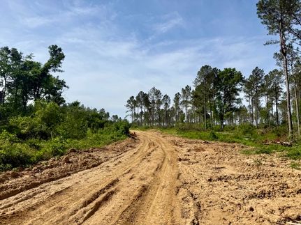 Undeveloped Land for sale in Lawrence County, Mississippi