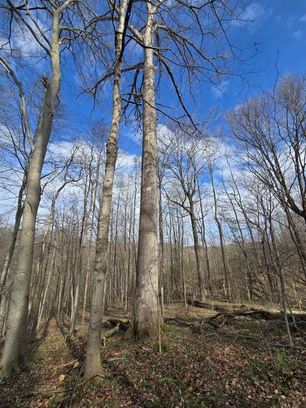 Land for sale in Franklin County, Indiana