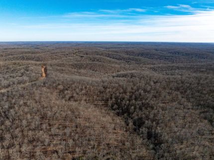 Land for sale in Randolph County, Arkansas