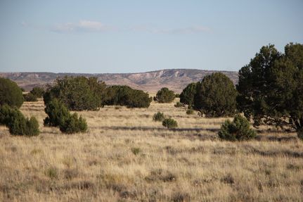 Farm and Ranch in Apache County, Arizona