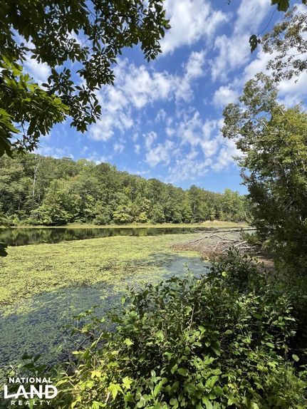 Hunting Property for sale in Tuscaloosa County, Alabama