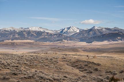Undeveloped Land for sale in Park County, Montana