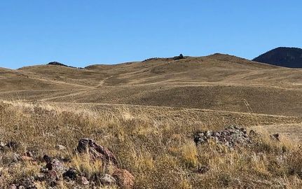 Farm and Ranch in Park County, Colorado