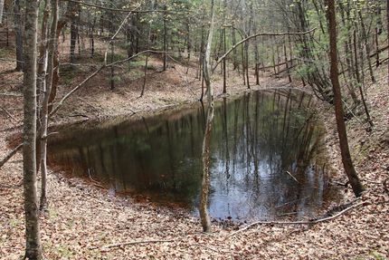 Timberland Property for sale in Frederick County, Virginia