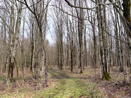 Land for sale in Chautauqua County, New York