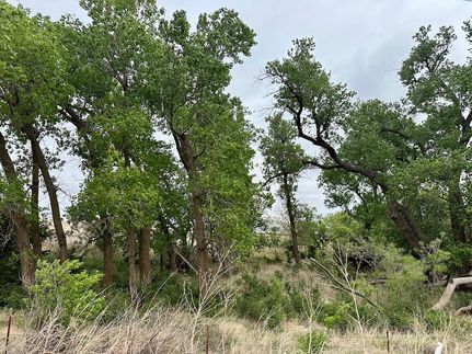 Timberland Property for sale in Dewey County, Oklahoma