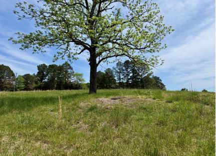 Undeveloped Land for sale in Winston County, Alabama