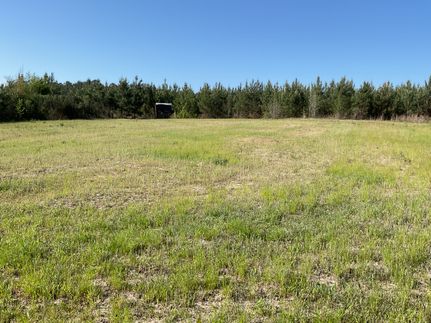 Land for sale in Crenshaw County, Alabama