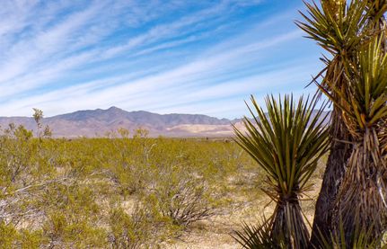Undeveloped Land for sale in Mohave County, Arizona