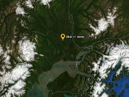 Timberland Property in Matanuska-Susitna Borough, Alaska