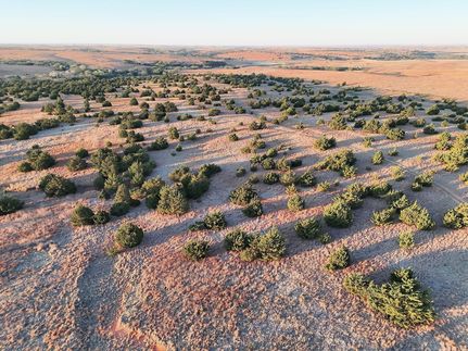 Farm and Ranch for sale in Custer County, Oklahoma