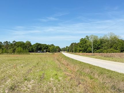 Land for sale in Dillon County, South Carolina