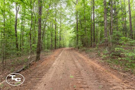 Undeveloped Land in Greene County, Alabama