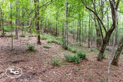 Farm and Ranch for sale in Greene County, Alabama