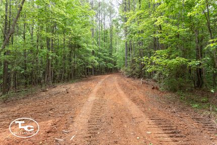Timberland Property for sale in Greene County, Alabama