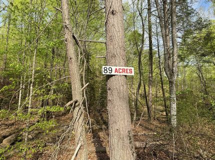 Undeveloped Land for sale in Summers County, West Virginia
