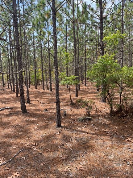 Farm and Ranch for sale in Kershaw County, South Carolina