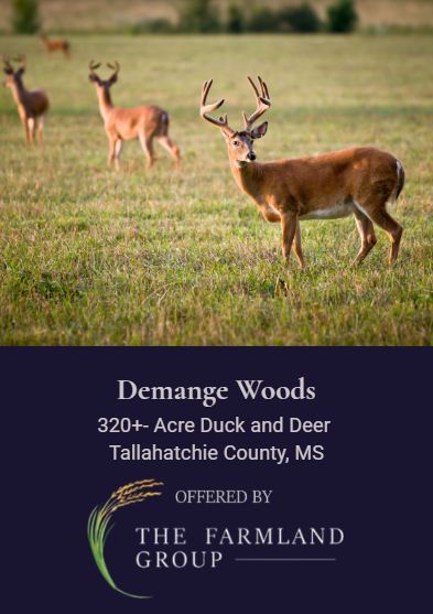 Timberland Property for sale in Tallahatchie County, Mississippi