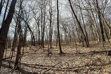 Farm and Ranch for sale in Rusk County, Wisconsin