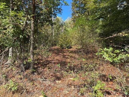 Undeveloped Land for sale in Fleming County, Kentucky