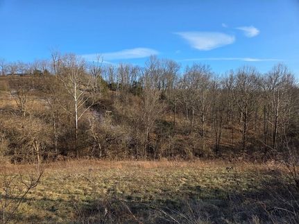 Undeveloped Land for sale in Fleming County, Kentucky