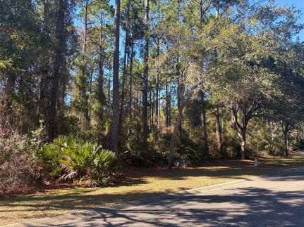 Undeveloped Land for sale in Camden County, Georgia