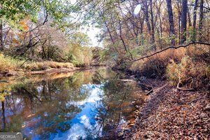 Hunting Property for sale in Fayette County, Georgia