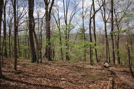 Undeveloped Land for sale in Frederick County, Virginia