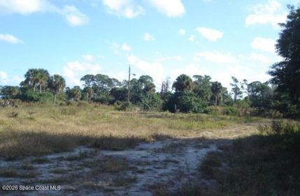Undeveloped Land for sale in Brevard County, Florida