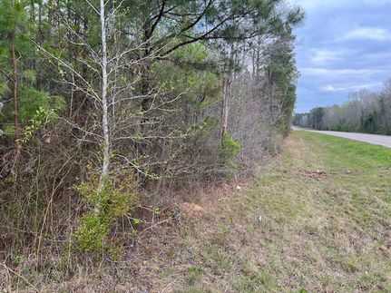 Land for sale in Monroe County, Alabama