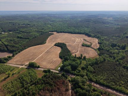 Land for sale in Monroe County, Mississippi