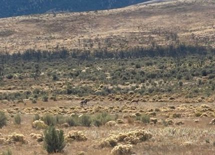 Recreational Property for sale in Elko County, Nevada