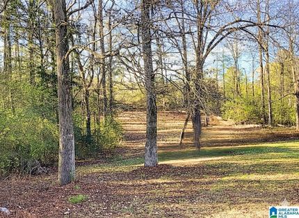 Recreational Property for sale in Shelby County, Alabama