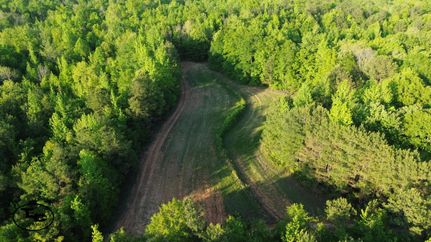 Farm and Ranch for sale in Lamar County, Alabama