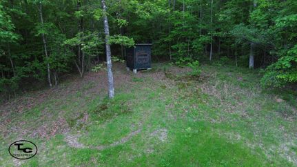 Land for sale in Lamar County, Alabama