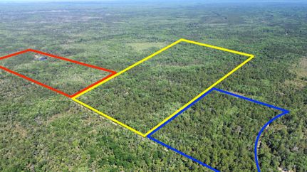 Timberland Property for sale in Levy County, Florida