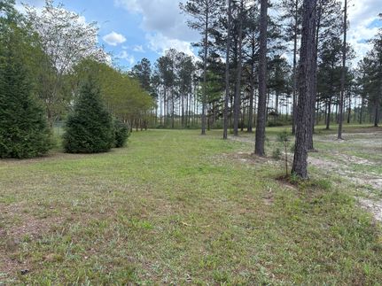 Recreational Property for sale in Wilkinson County, Georgia