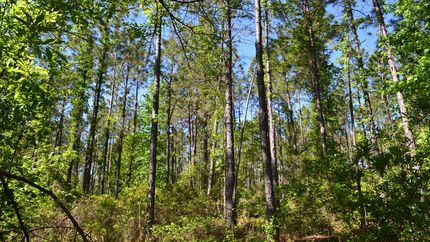 Farm and Ranch for sale in Laurens County, Georgia