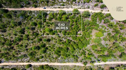 Undeveloped Land for sale in Putnam County, Florida