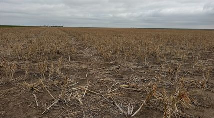 Land for sale in Kearny County, Kansas