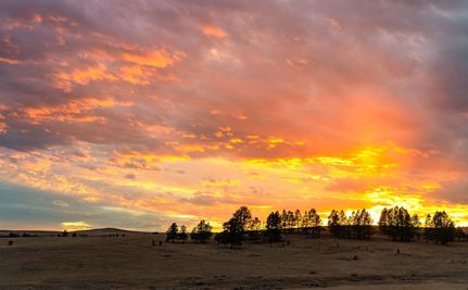 Farm and Ranch for sale in Carter County, Montana