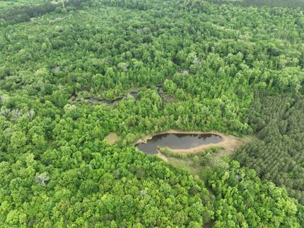 Timberland Property for sale in Cass County, Texas