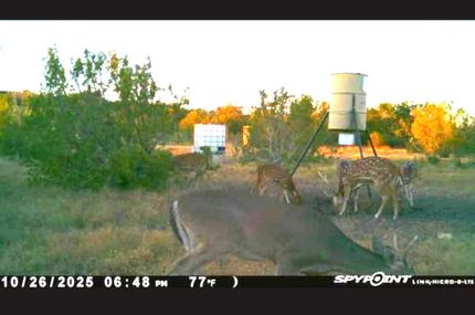 Farm and Ranch for sale in Edwards County, Texas