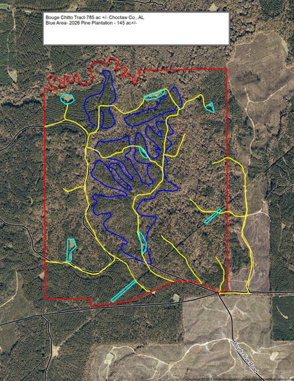 Timberland Property for sale in Choctaw County, Alabama